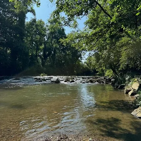 La Les Berges De L 'ill * Miluza